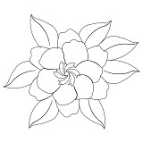 gardenia block 001